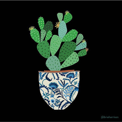 Les cactus : bons ou mauvais pour votre maison?